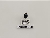 藏品(鞘翅目(1))的圖片